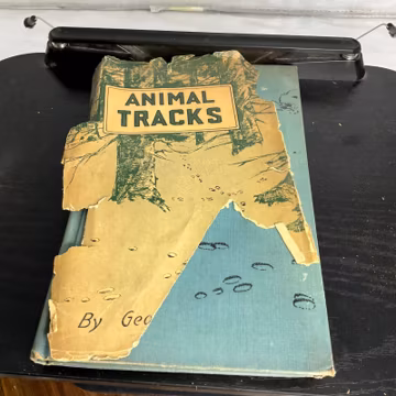 Animal Tracks George F. Mason 1943 Nature Wildlife Illustrated Book