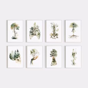 Botanical Anatomy Watercolor Set Of 8 Prints, Human Body Artwork, Spine Tree Poster, Physiotherapy Office Decor, Medical Clinic Decoration