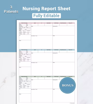 Editable Med Surg Nurse Brain Sheet 3 Patient Nurse Report Sheet ICU Nursing Handoff Bedside Shift Report w/ Meds & Hourly Round Canva PDF
