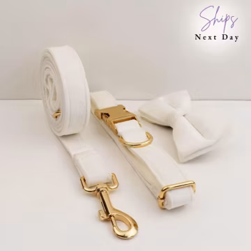 Personalized White Velvet Dog Collar Leash Set: Engraved Bowtie, Wedding Outfit, custom dog collar, luxury dog collar and leash set, gift