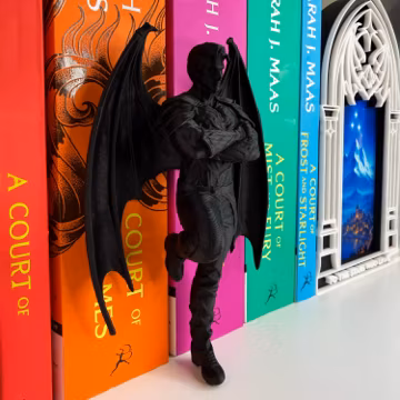 ACOTAR Bat Boy Bookshelf Insert, Fae Book Decor