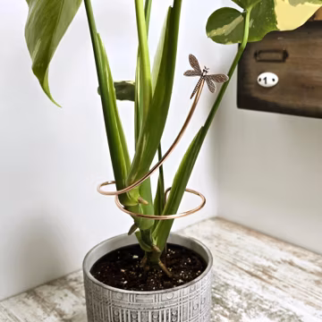 Dragonfly Plant Support Stake for Indoor Plants, Copper Houseplant Accessories, Monstera and Philodendron Supports, Plant Gifts