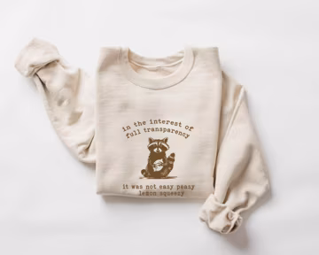 Funny Raccoon Sweatshirt, Sarcastic Graphic Hoodie, 90s Retro Style