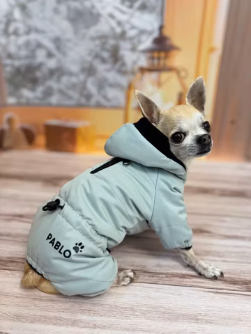 Custom Dog Puffer Coat: Waterproof Winter Romper with Hood