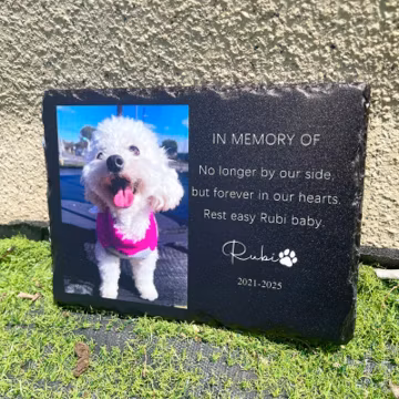 Custom Pet Memorial Stone, Personalized Photo Grave Marker, Custom Pet Memorial Stone, Garden Cemetery Stone, Pet Sympathy Gift