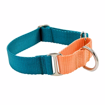 Solid Nylon Martingale Dog Collar | Limited Slip Collar | 24 Color Choices | 5/8 3/4 1 inch Widths | 2-color or 1-color Dog Collar