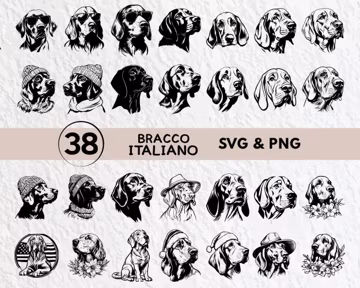 Bracco Italiano SVG Bundle: Dog Breed Clipart, Logo Icon (PNG)