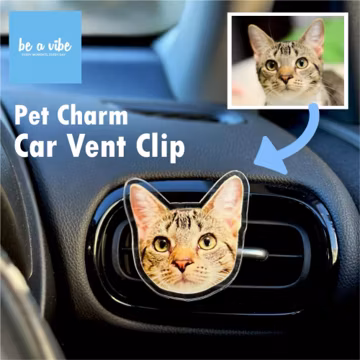 Custom Personalised Acrylic Cat/Dog Car Vent Clip Decoration/Blank Car Vent/Drive Safe Gift/Pet Memorial Car Accessory/Custom License Plate
