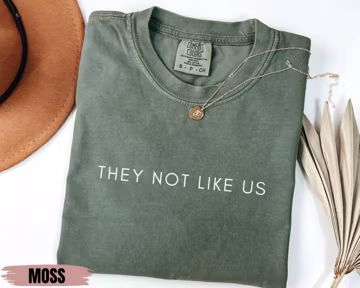 They Not Like Us Shirt, Not Like Us Shirt, Black Lives Sweater, Human Rights Shirt, Black People Gift, Black History Month, Sarcastic Tee