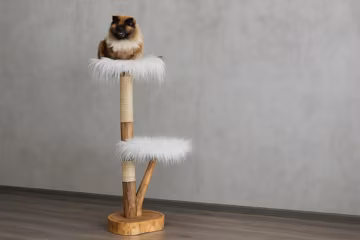 Handmade Wooden Cat Tree – Tall, Natural Branch Cat Tower with Scratching Post