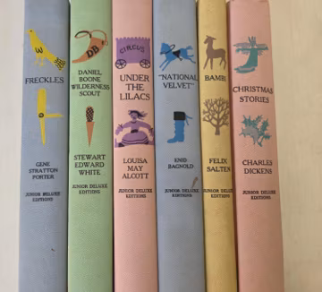 Set of 6 Junior Deluxe Edition books