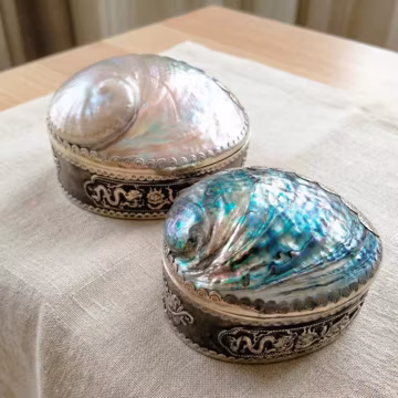 Abalone Shell Jewelry Box with Brass Dragon, Mother of Pearl Trinket Keepsake Box, Coastal Boho Decor, Handcrafted Sea Shell