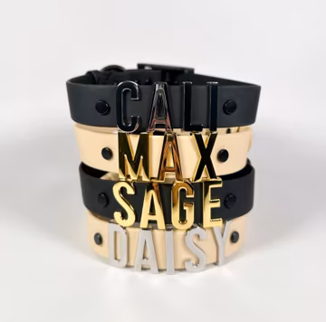 Custom Name Dog Collar, Personalized Dog Collar, Customized Pet Collar, PVC Coated Nylon Webbing, Dog Accessory, Pet Name Tag, Dog Jewelry