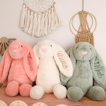 Personalized Newborn Bunny Gift with Embroidered Name β Soft Stuffed Plush Rabbit, Custom Baby Shower Keepsake, Ships Fast