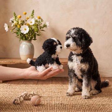 Custom Pet Crochet Doll From Photo, Personalized Dog Plush, Cat Memorial Gift, Custom Pet Plush, Pet Loss Keepsake Gift