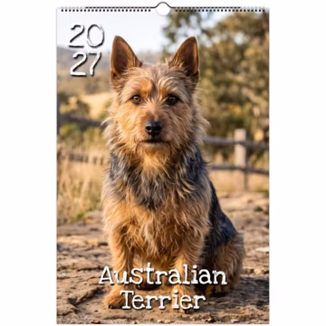 Large 2027 Australian Terrier Wall Calendar with US & UK Holidays (11"x16.5") | Terrier Wall Art Print | Dog Lover Gift | Home Office Decor