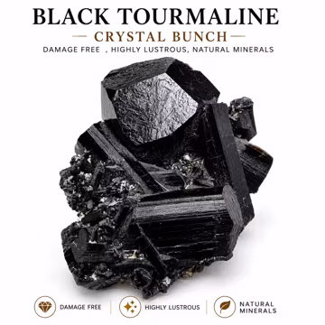 Natural Black Tourmaline Crystal Bunch | Damage Free Highly Lustrous Schorl Crystal Cluster | Rare Mineral Specimen for Collectors 118g