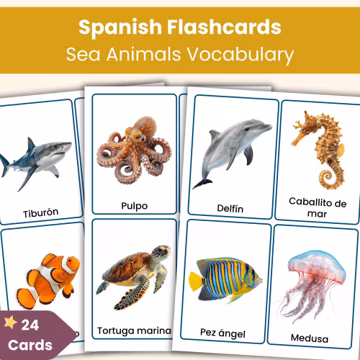 Spanish Sea Animals Flashcards | 24 Printable Vocabulary Cards for Kids | Spanish Lesson Resource