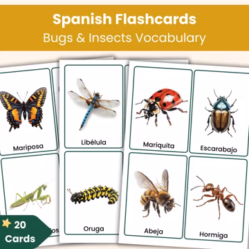 Spanish Bugs & Insects Flashcards | 20 Real Photo Vocabulary Cards for Kids | Printable Spanish Resource