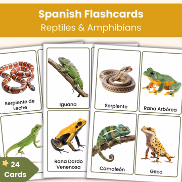Spanish Reptiles & Amphibians Flashcards | 24 Real Photo Vocabulary Cards for Kids | Printable Spanish Resource
