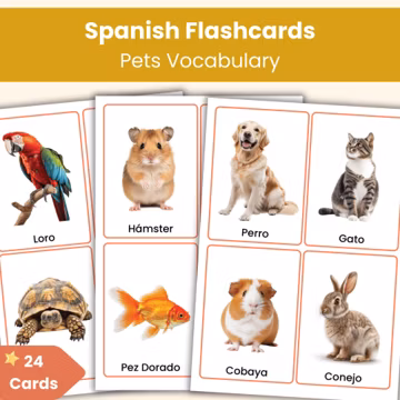 Spanish Pets Flashcards | 24 Real Photo Vocabulary Cards for Kids | Printable Spanish Resource