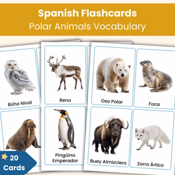 Spanish Polar Animals Flashcards | 20 Real Photo Vocabulary Cards for Kids | Printable Spanish Resource