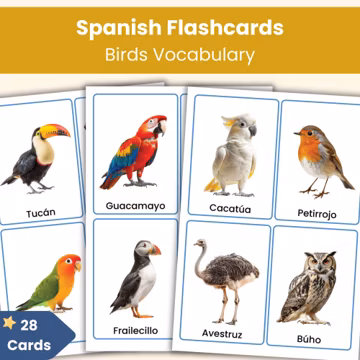 Spanish Birds Flashcards | 28 Real Photo Spanish Vocabulary Cards for Kids | Printable Language Learning