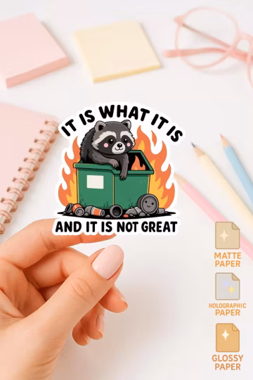 Funny Raccoon Dumpster Fire Sticker – "It Is What It Is" Vinyl Decal