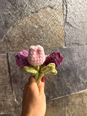CROCHET PATTERN "Tulip". English PDF chart. No-sew. Plush toy. Plushies gift. Stuffed Amigurumi. Gift for her.