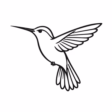 Hummingbird SVG Outline Minimal Bird Cut File