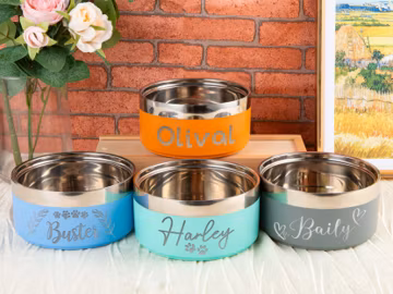 Engraved Stainless Steel Pet Bowl: Custom Insulated Dog & Cat Food and Water Bowl