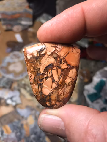 Cayucos Beach Brecciated Jasper Cabochon – California Collector Cabochon
