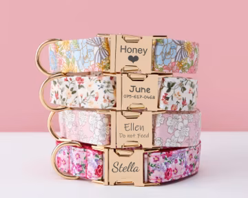 Personalized Floral Dog Collar with Bowtie, Leash, Custom Engraved Name Tag Metal Buckle, Adjustable Dog Collar, Multiple Colours, Pet Gift