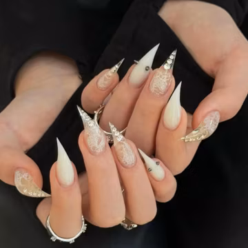 Handmade Dragon Claw Press On Nails: Cat Claw Acrylic Set