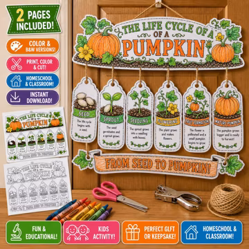 Pumpkin Life Cycle Craft Printable, Fall Science Mobile Activity, Seed to Pumpkin Worksheet, Color and Black White PDF, Homeschool Craft