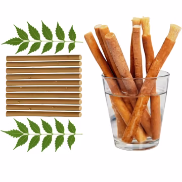 Natural Miswak & Neem Datun Combo Pack | Herbal Teeth Cleaning Sticks | Eco Friendly Natural Toothbrush Set | Ayurvedic Oral Care
