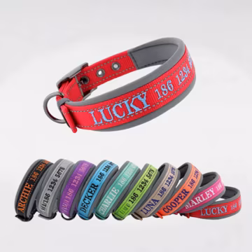 Personalized Dog Collar, Embroidered Dog Collar, Custom Dog Collar with Name and Phone Number, Gift for Dog Mom/Dad, Dog Collar & Leash Set
