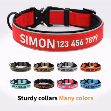 Custom Dog Collar, Personalized Dog Collar, Embroidered Dog Collar with Name and Phone Number, Gift for Dog Mom/Dad, Dog Collar & Leash Set
