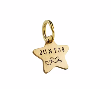 STAR MEDIUM Hand-stamped, personalized solid brass dog and cat ID tags