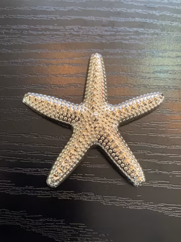 Vintage Golden Starfish Textured Brooch Pin, Ocean Nautical Fish Metal Brooch Badge