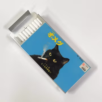 The Smoking Black Cat Cigarette Case Alloy Sliding Top Lid Cigarette Storage Box