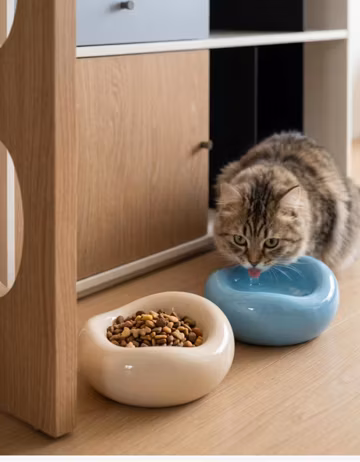 Ceramic Cloud Cat Bowl, Elevated Whisker Friendly, Weighted Anti-Tip Pet Feeder