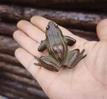Solid Copper Frog Ornament/Home Decor Sculpture