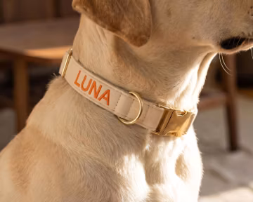 Custom Pet Collar with Embroidered Name, Leather Dog Collar, Personalized Dog Gift