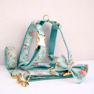 Engraved Dog Collar, Leash & Harness, Blue Floral Blossom Set
