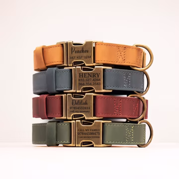 Personalized Dog Collar, Leather Pet Collars, Dog Accessories, Brass Hardware