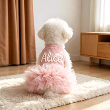 Personalized Pet Tutu Dress, Custom Name Birthday Outfit, Dog Party Clothes, Dog Summer Apparel, Puppy Dresses, Hand Embroidered Dog Skirt