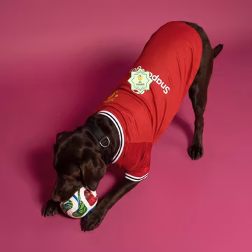 Personalized M.Utd Pet Soccer Jersey 2026 World Cup | Custom Dog Cat Football Shirt Name Number | Breathable Dog Clothes