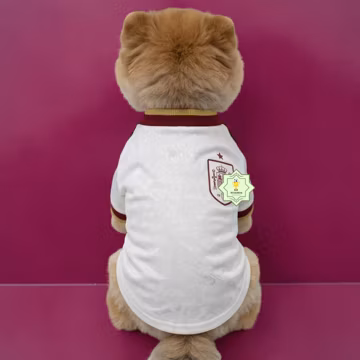 Personalized Spain Away Pet Soccer Jersey 2026 World Cup | Custom Dog Cat Football Shirt Name Number | Breathable Dog Clothes
