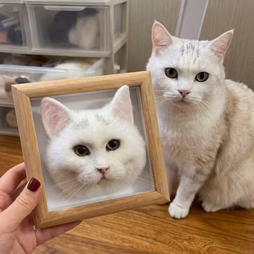 Custom Needle Felted 3D Pet Portrait - Personalized Dog Cat Memorial Frame